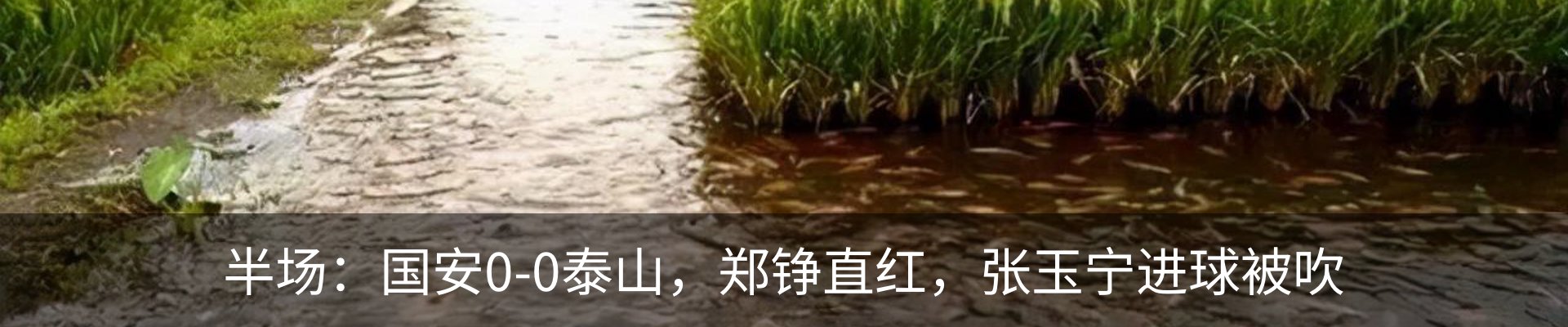 资讯动态
