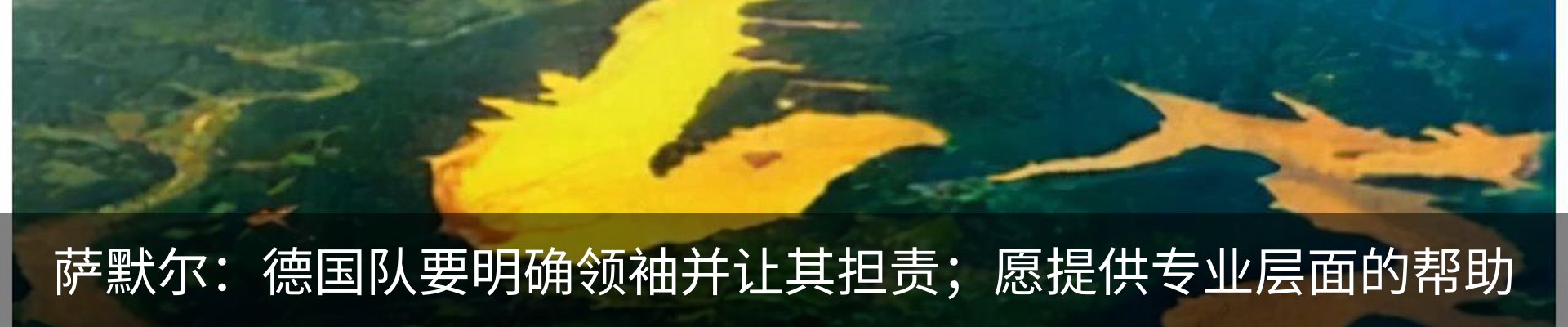 资讯动态